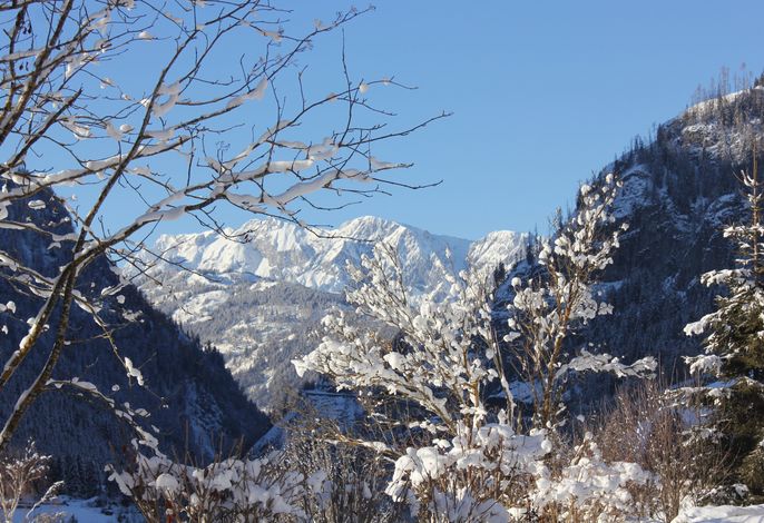 Bild 16