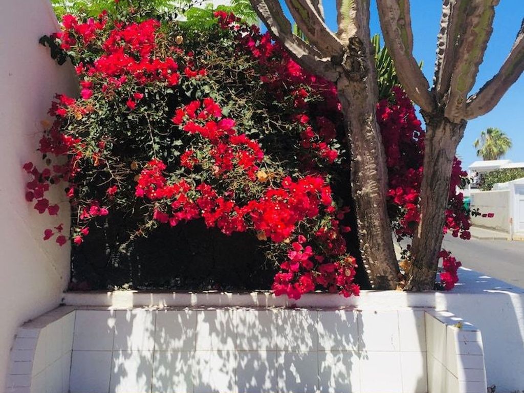 Apartamentos Maribel