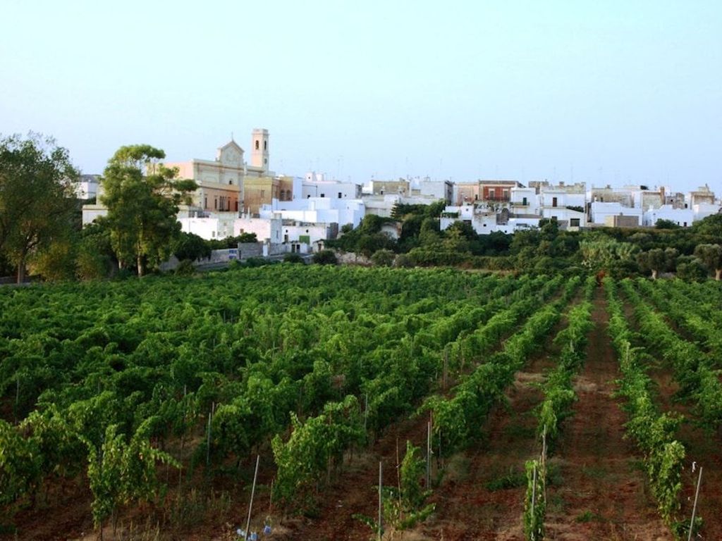 Hotel Costa d'Oro