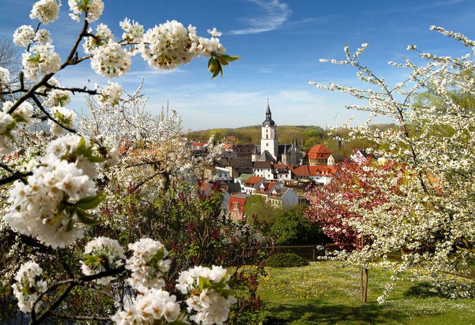 Bild 15