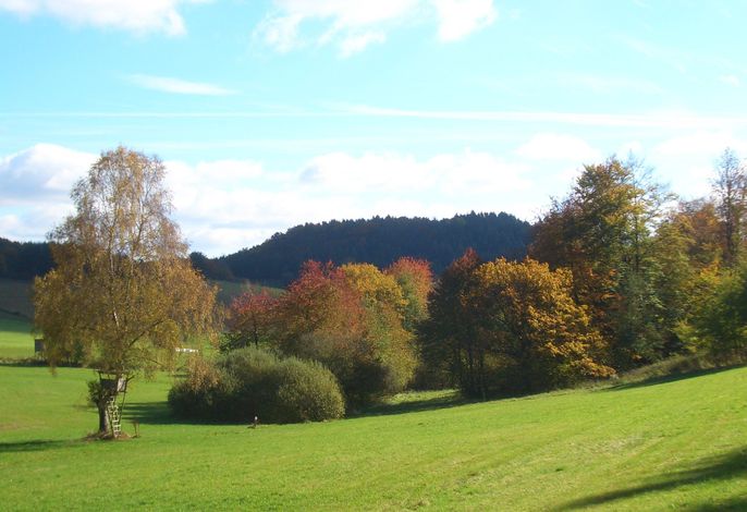 Bild 32
