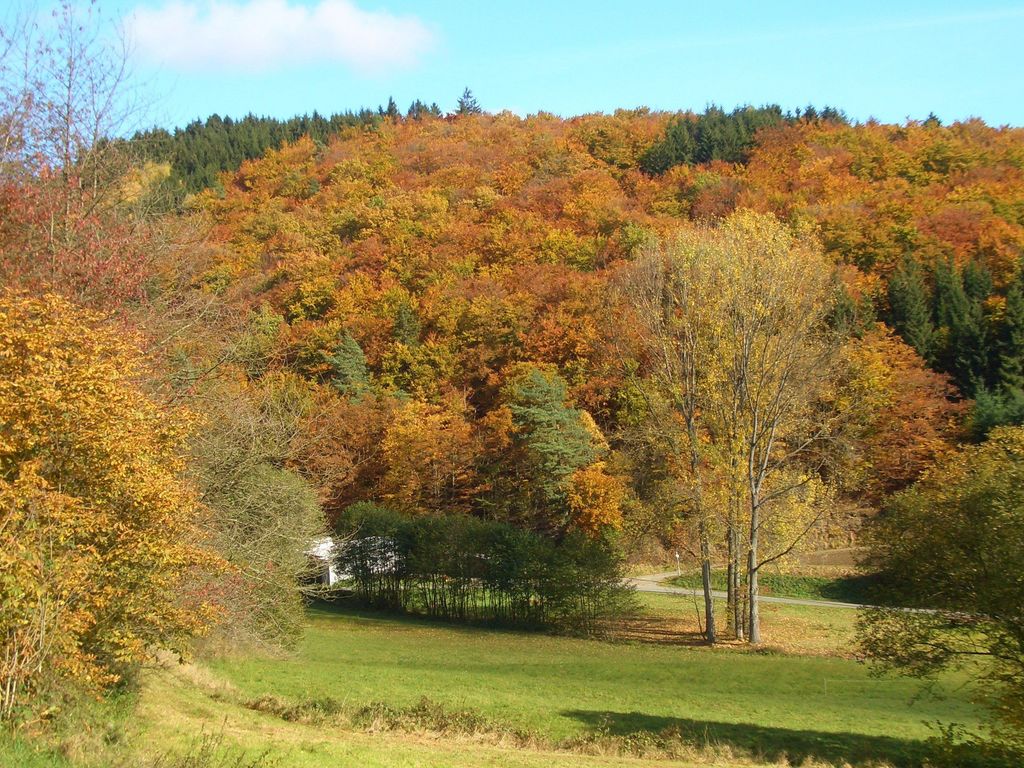 Burk Pension