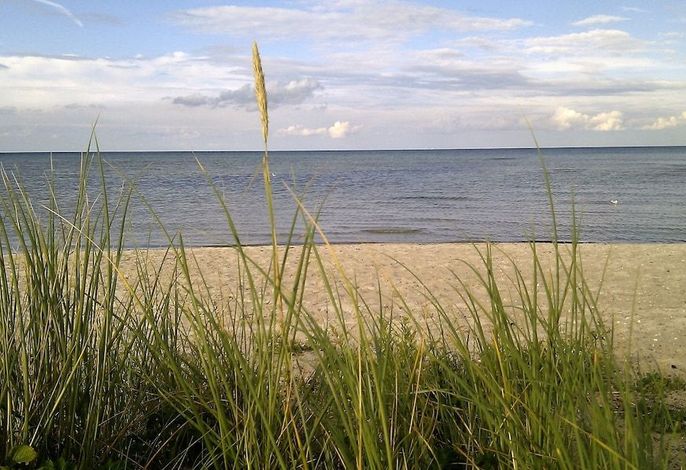 Bild 82