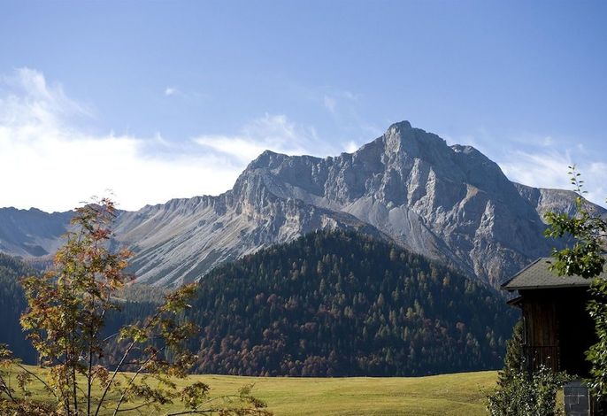 Bild 66