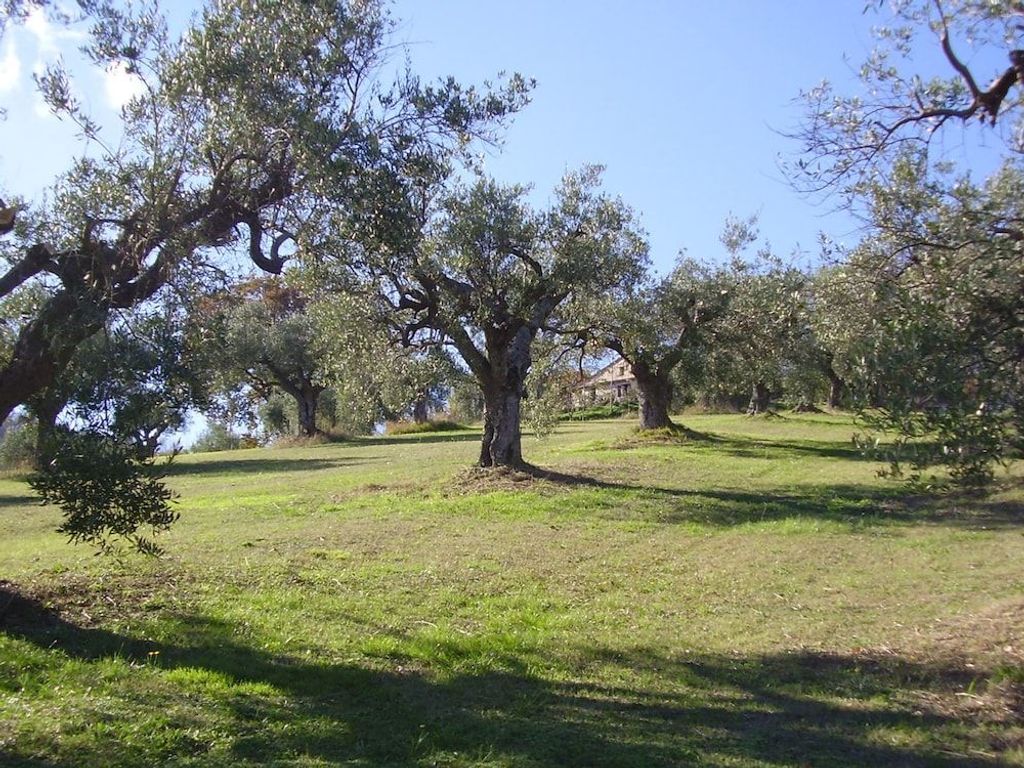 Il Sorger del Sole