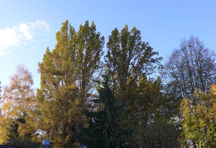 Bild 16
