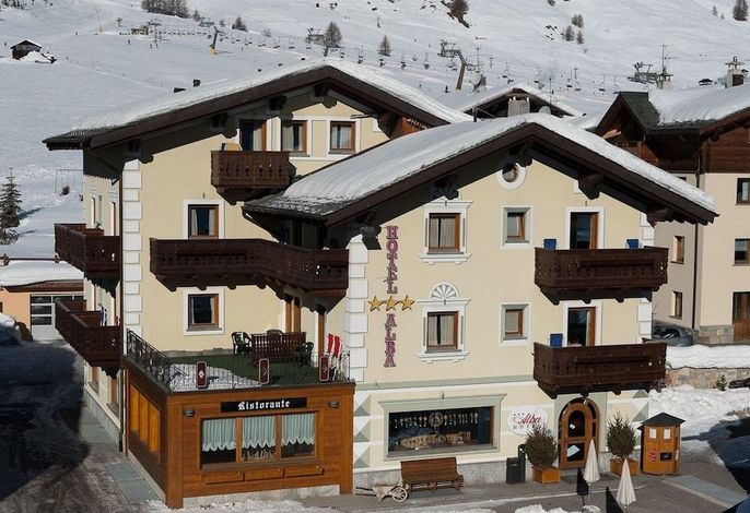 Alba Alpine Hotel
