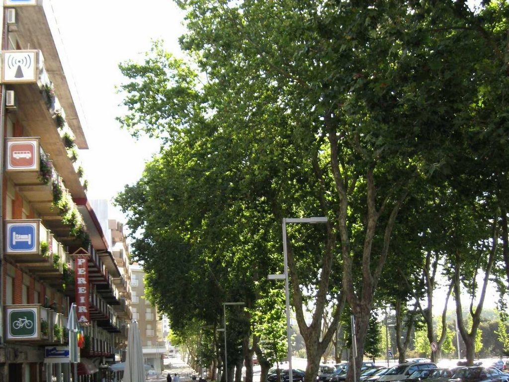 Hostel Pereira Guesthouse
