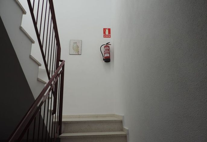 Bild 100