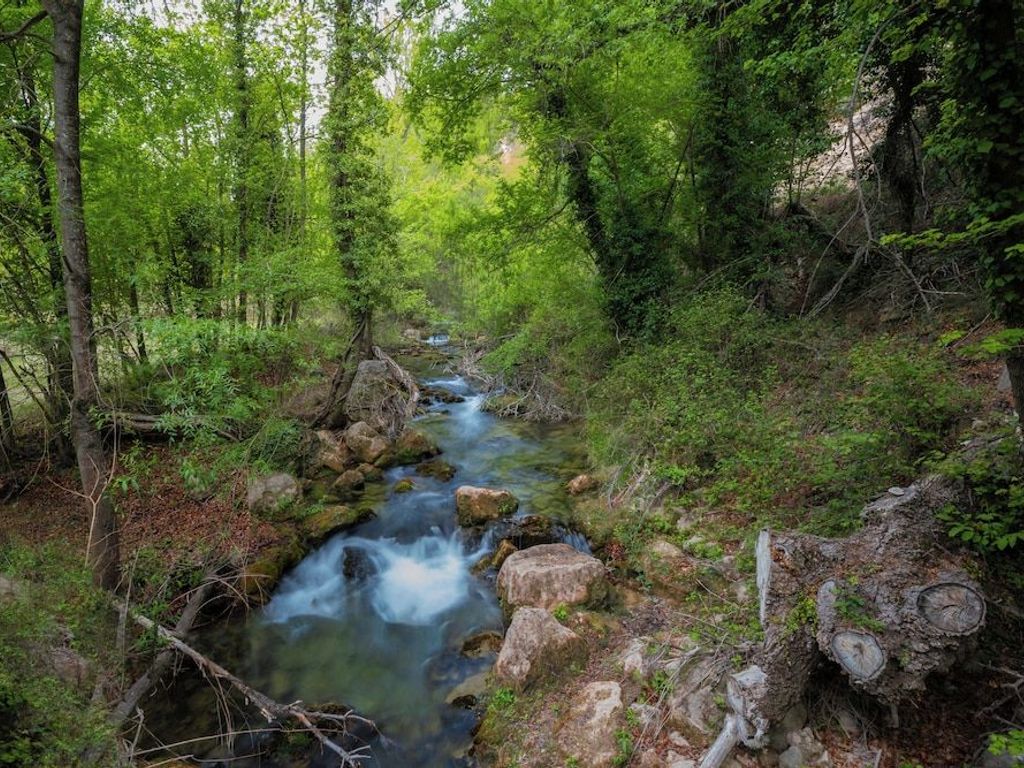 De La Trucha