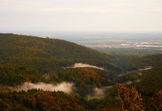 Bild 16