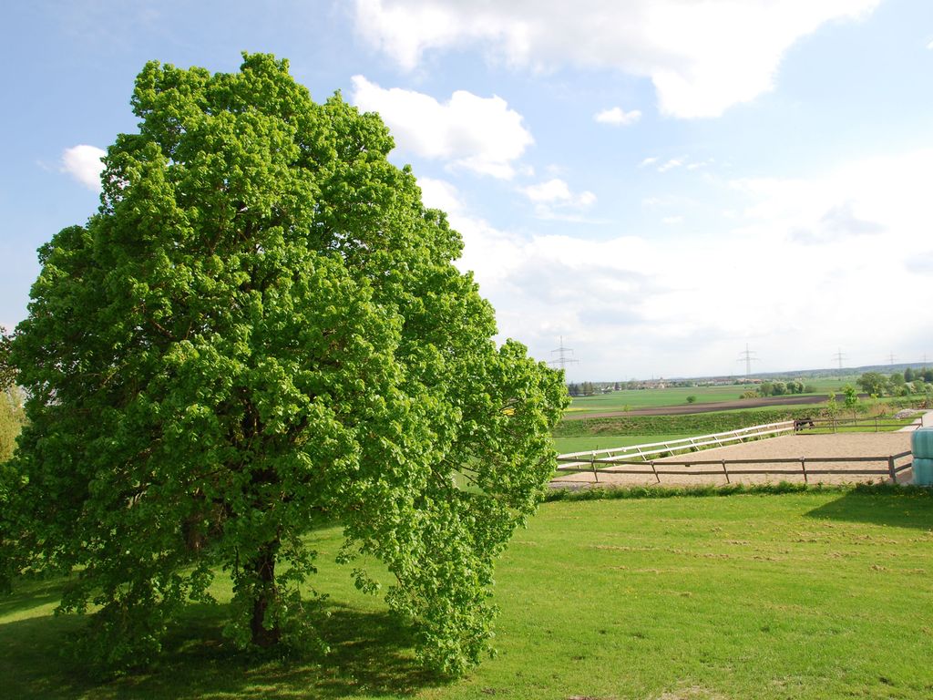 Parsberg
