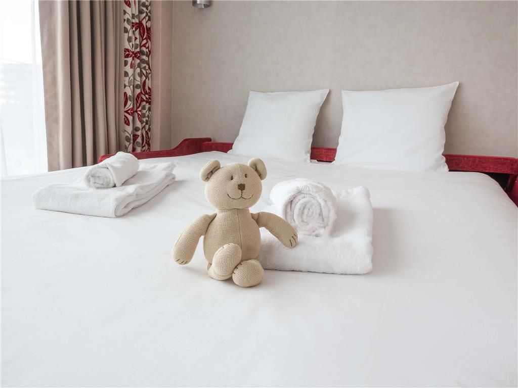 Hôtel Mercure Clermont Ferrand Centre Jaude