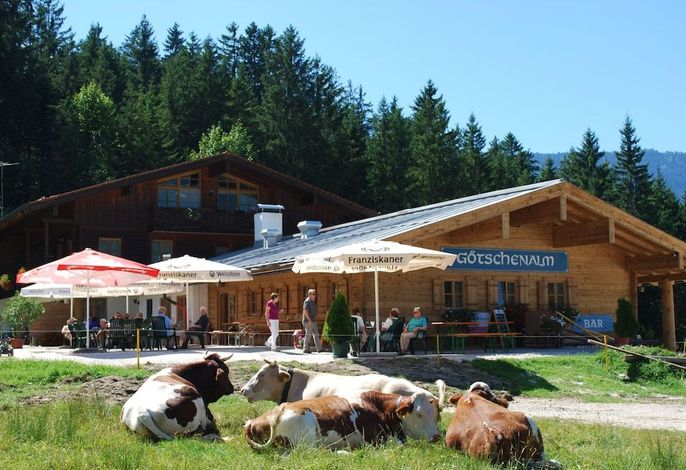 Bild 50