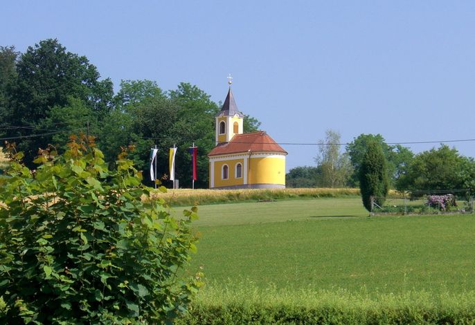 Bild 19