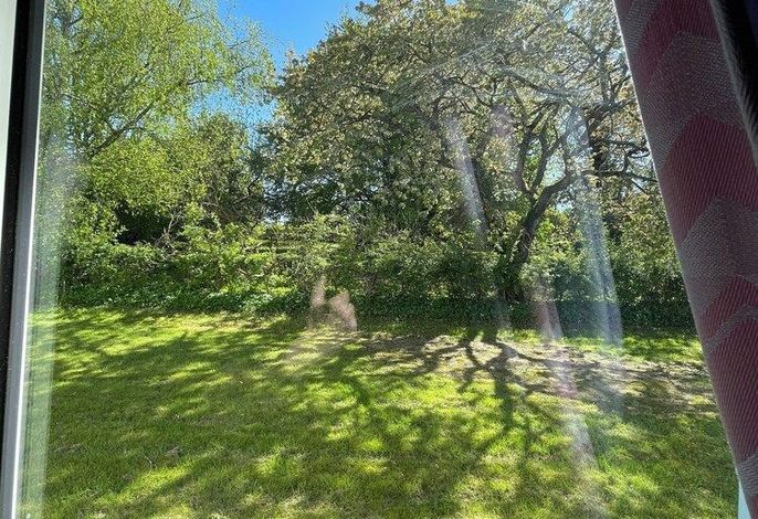 Bild 42