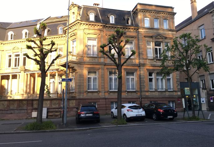 Bild 36