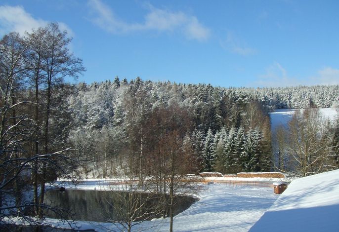 Bild 7