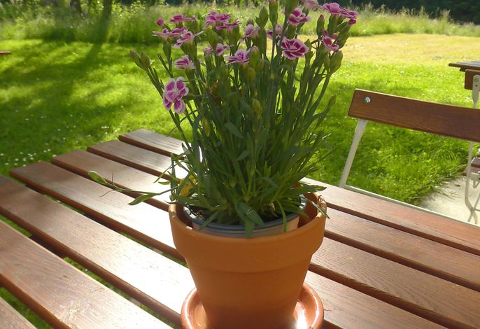 Bild 16