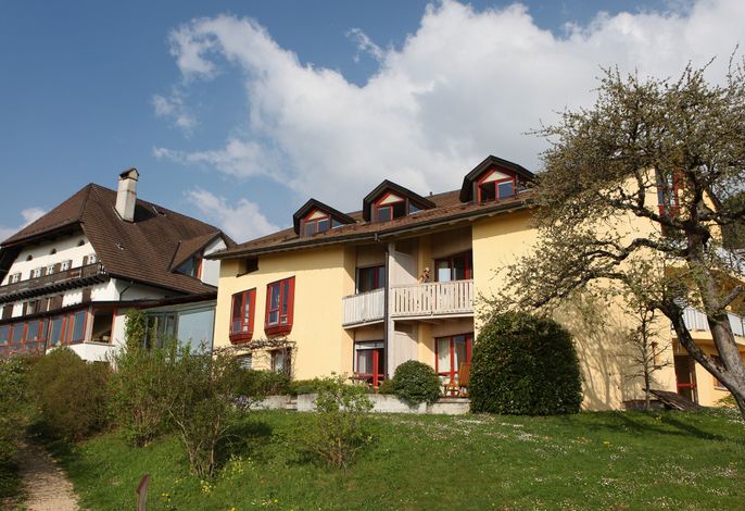 Bild 7