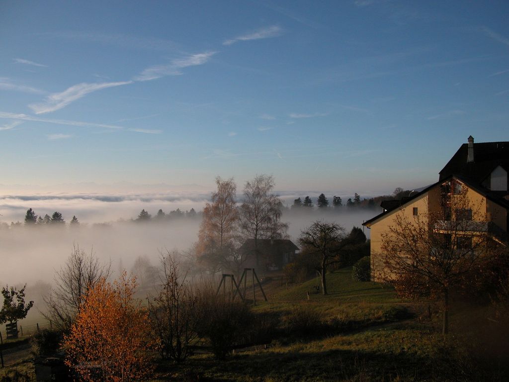 L Aubier