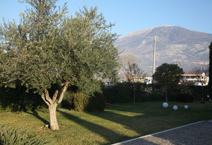 Bild 14