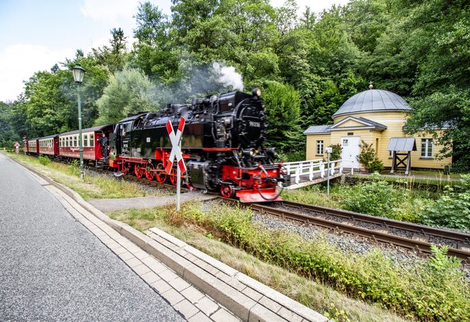 Bild 15