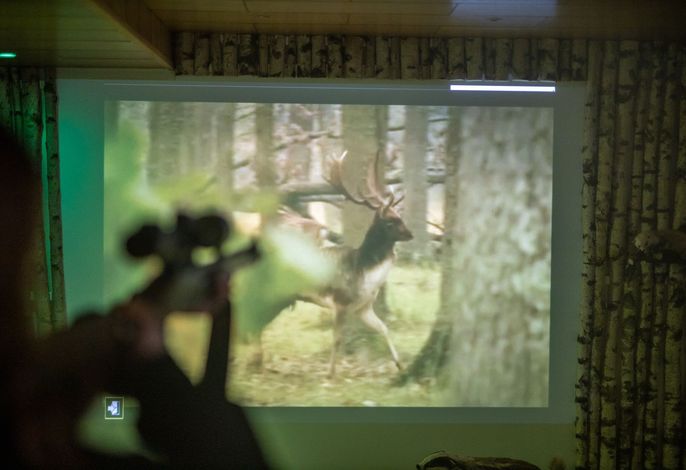 Bild 9