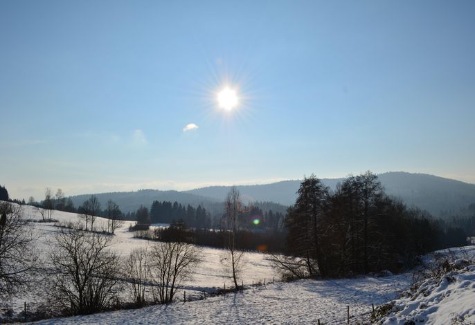 Bild 55