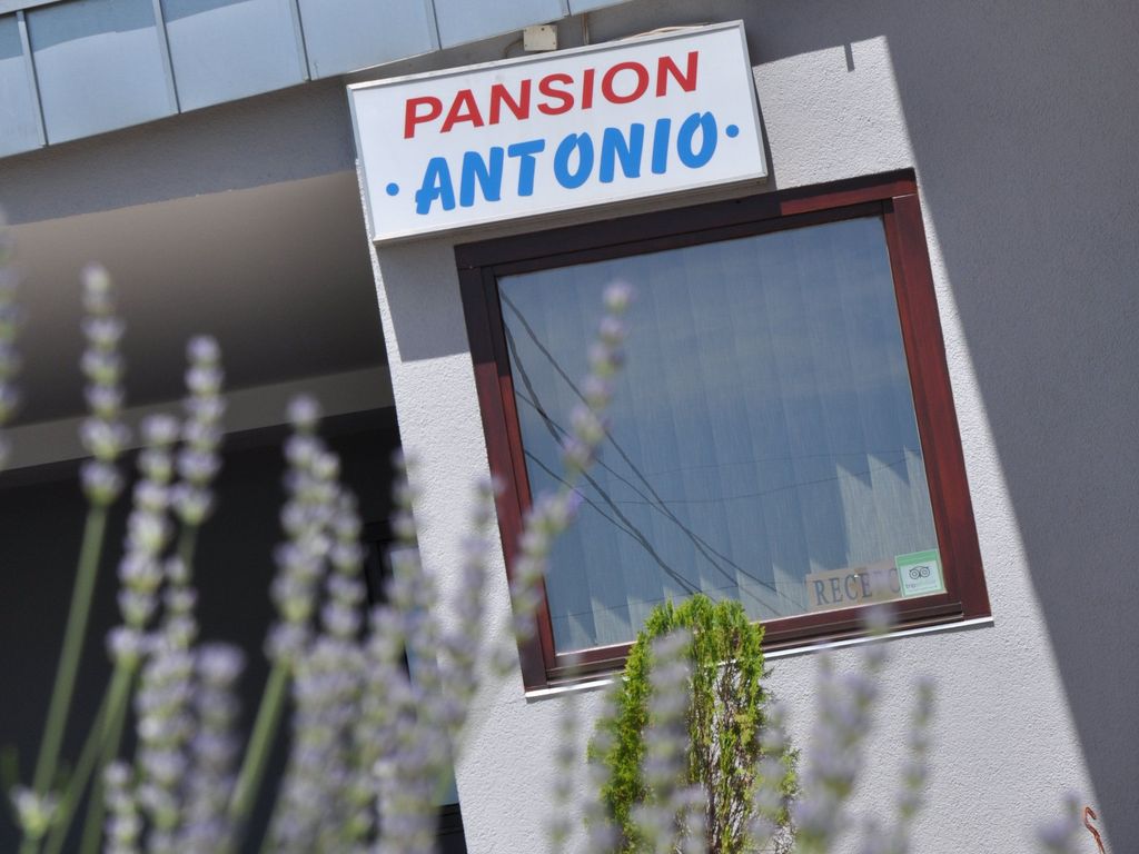 Pansion Antonio