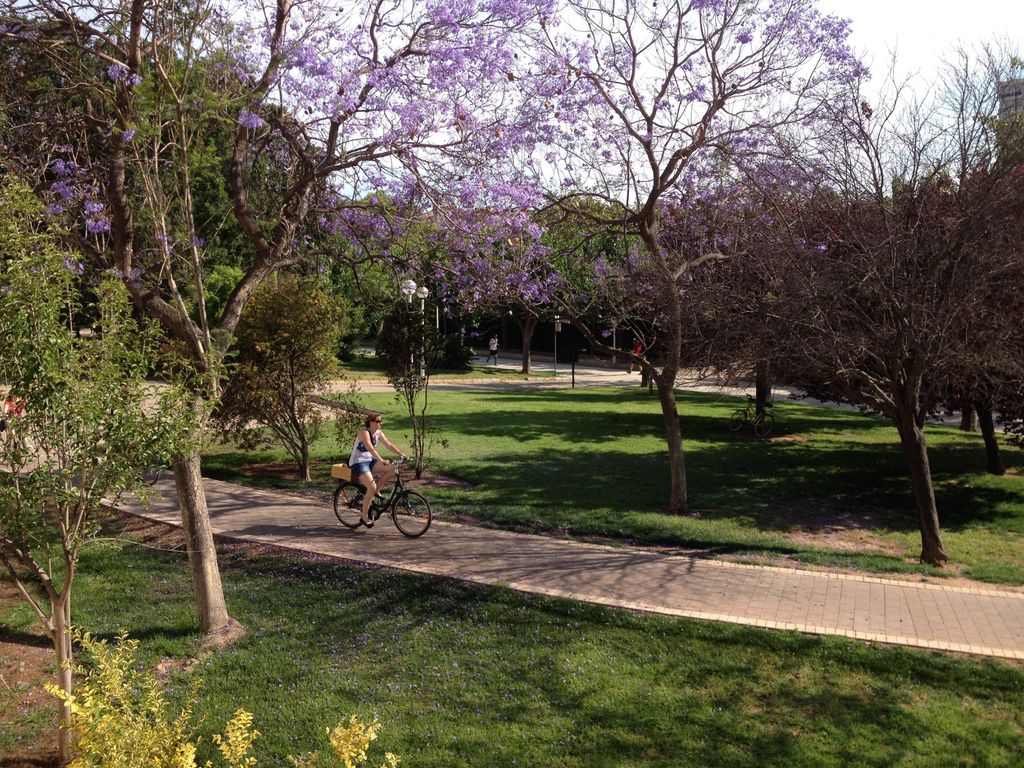 MD Modern Hotel - Jardines del Turia