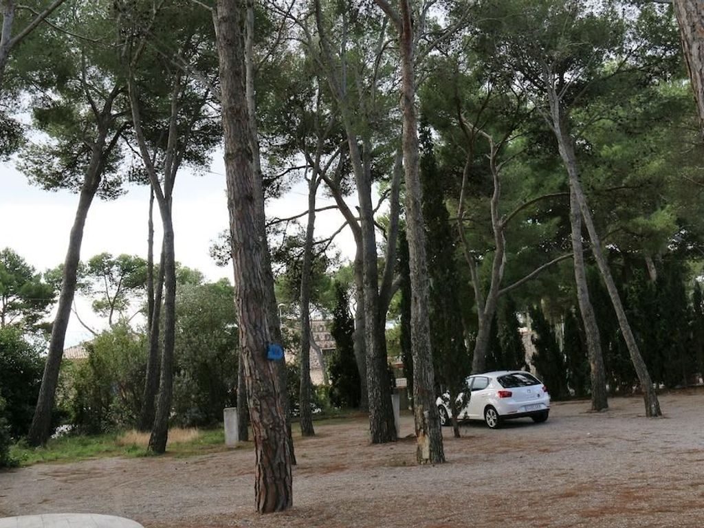Rv Hotels Apartamentos Treumal Park