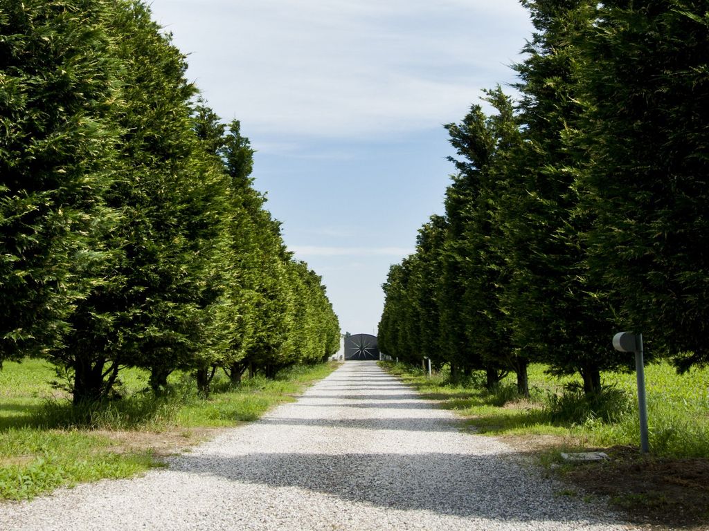 Il Giardino di Rebecca B&B