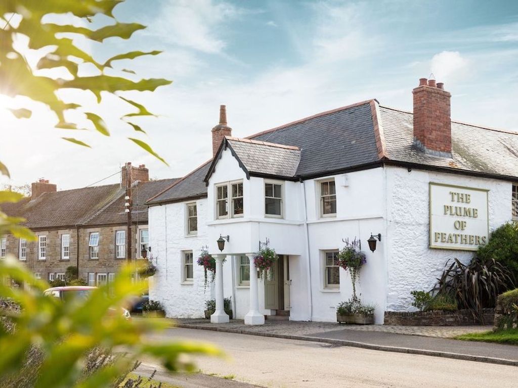 The Plume of Feathers