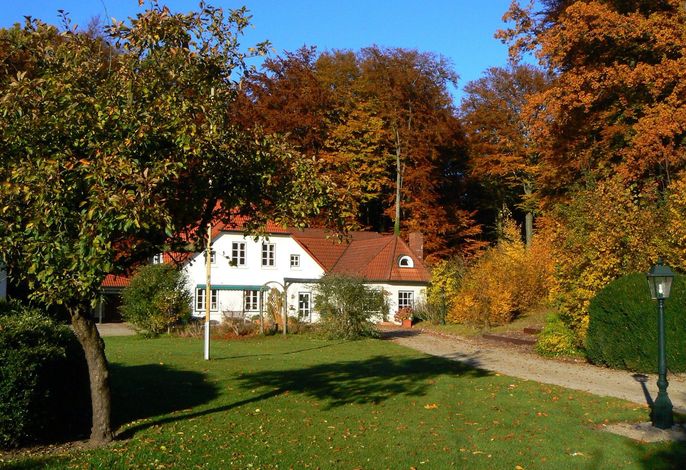 Bild 15