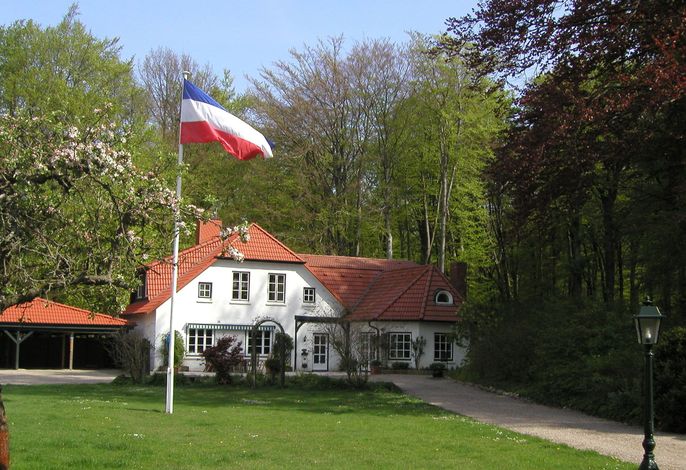 Hauptbild