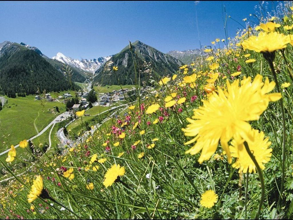 Silvretta Hotel & Spa