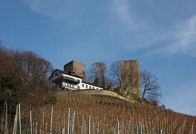 Bild 8