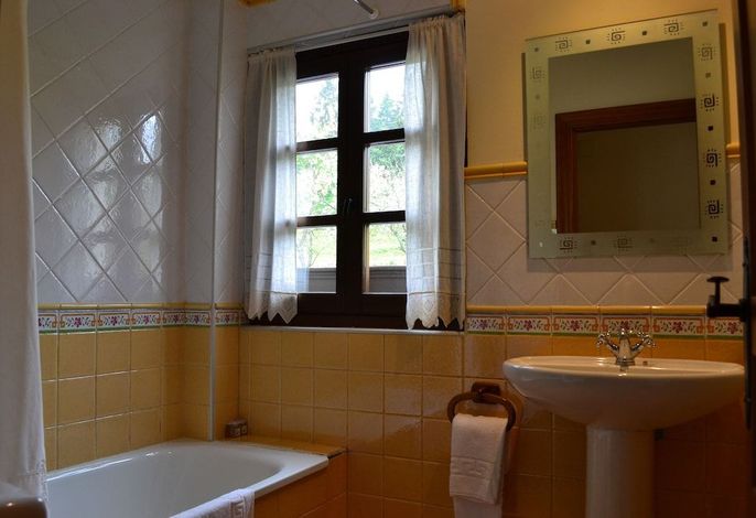 Bild 15