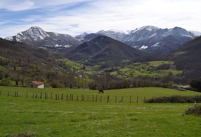 Bild 13