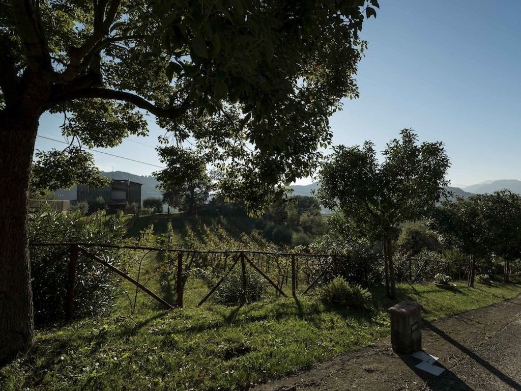 Tenuta D'Amore