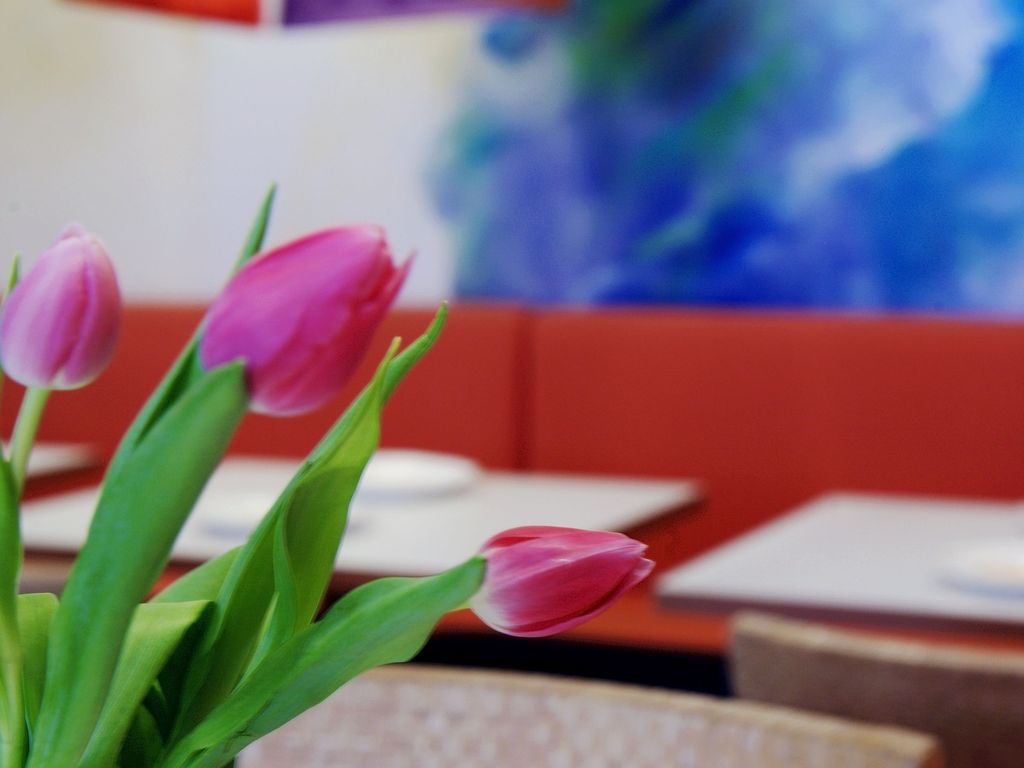 Creatif Hotel Elephant