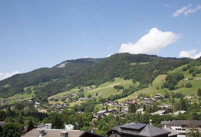 Bild 66