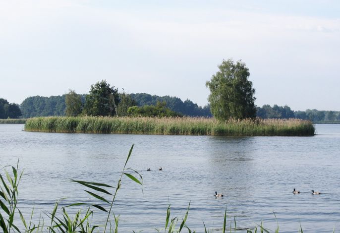Bild 17