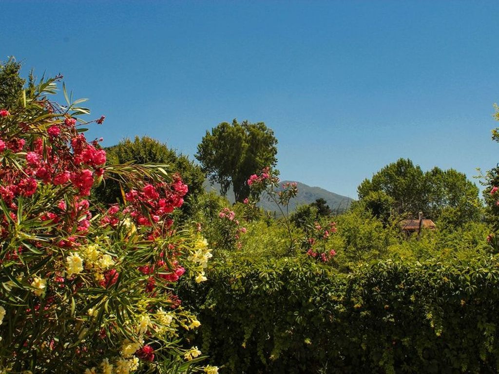 Nireas Resort Corfu