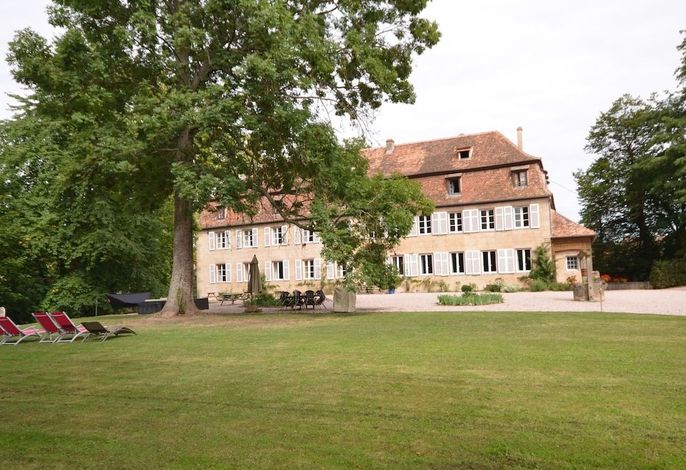 Bild 19