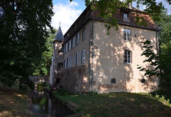 Bild 15