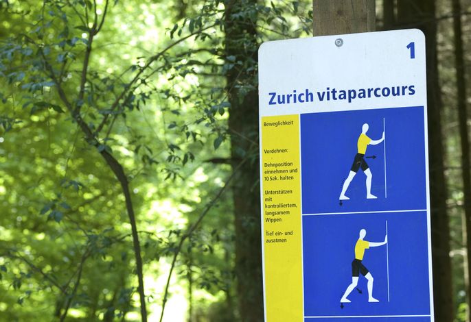 Bild 15