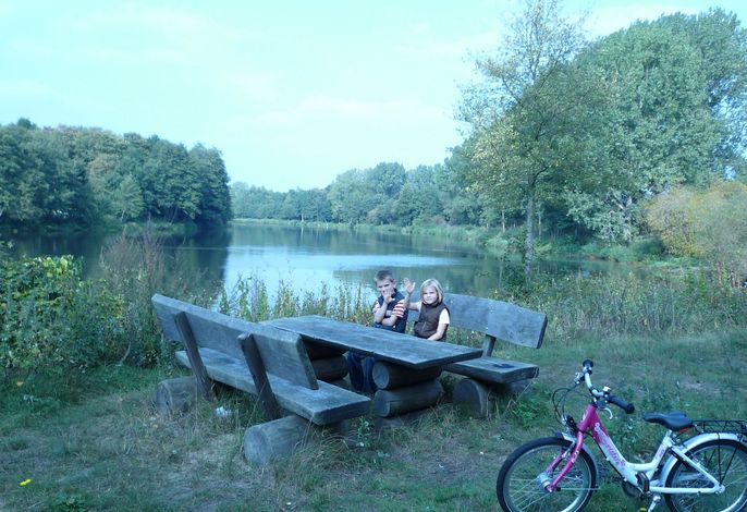 Bild 8