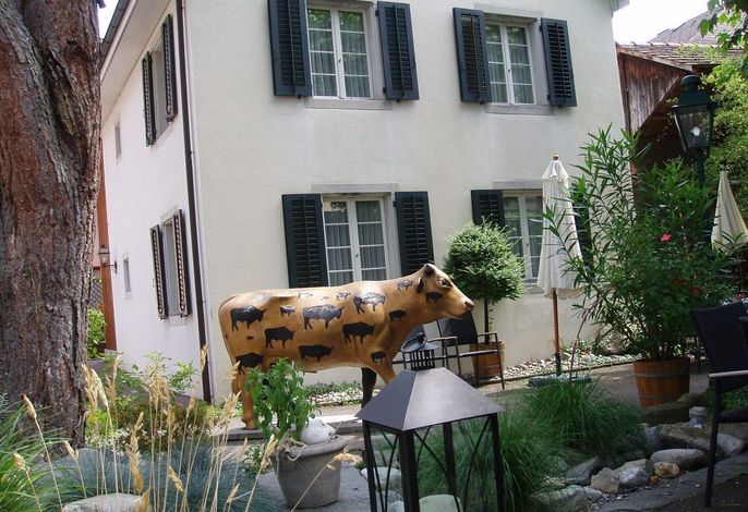 Bild 5
